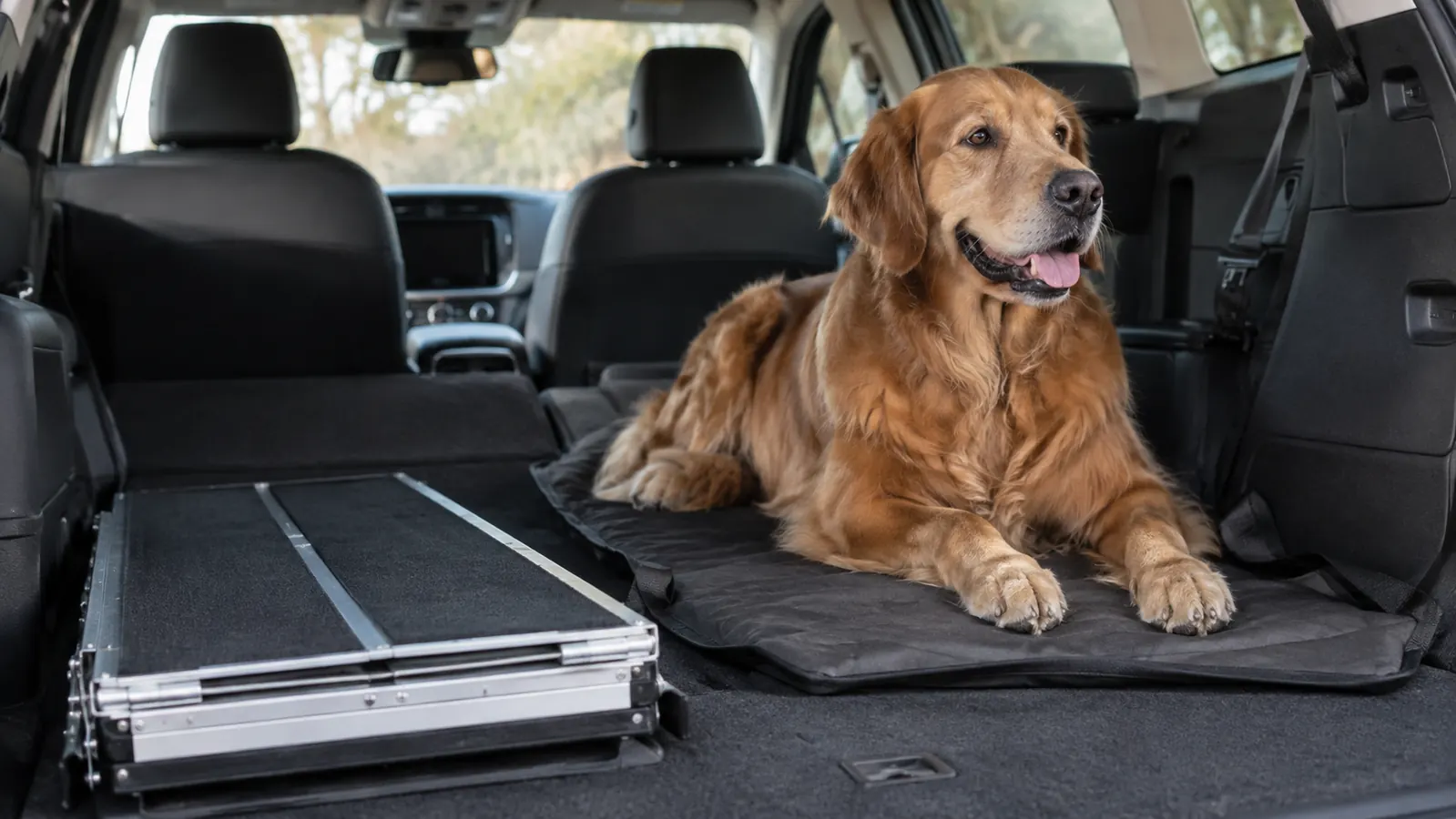 A large dog resting on the back seat of an SUV with a folding ramp lying flat on the cargo floor